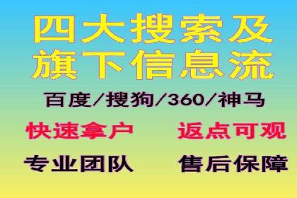 谷歌SEM案例研究：数据分析与效果评估